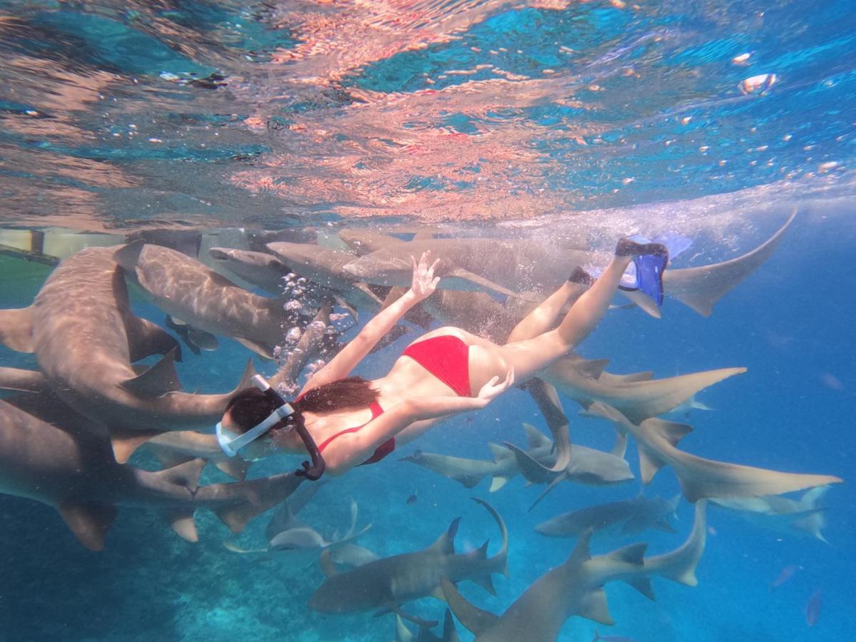 Pelican Beach Maafushi Luaran gambar