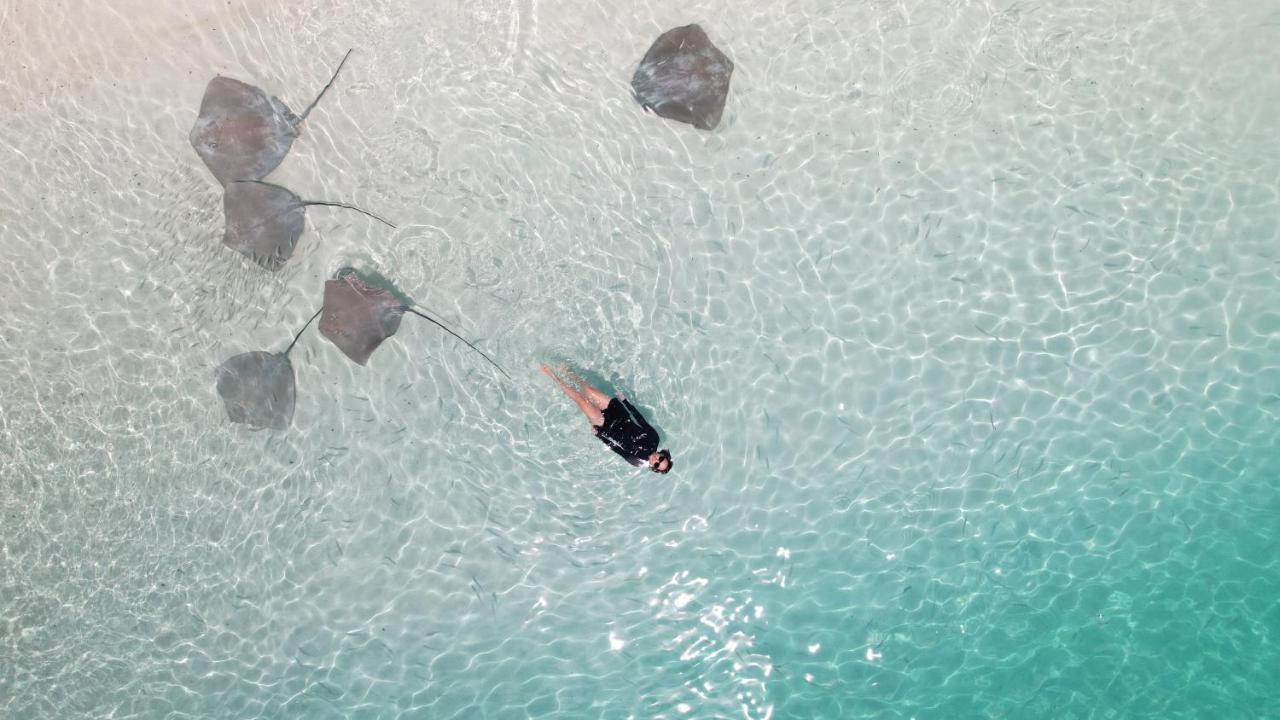 Pelican Beach Maafushi Luaran gambar